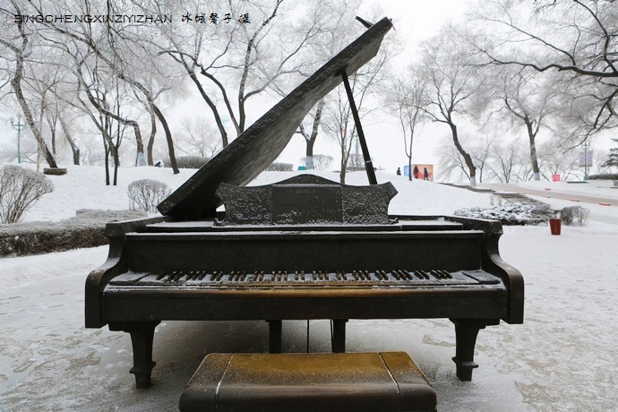 哈尔滨太阳岛的冬天照片,哈尔滨太阳岛的冬天有多美