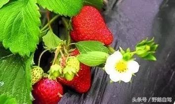 深冬京郊自驾游,春节京郊自驾游去哪里好玩