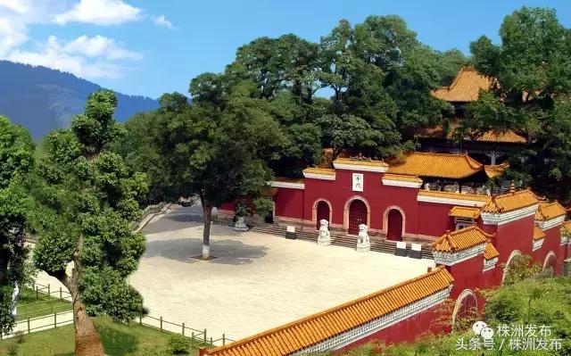 2019株洲改造工程,株洲路改造最新消息