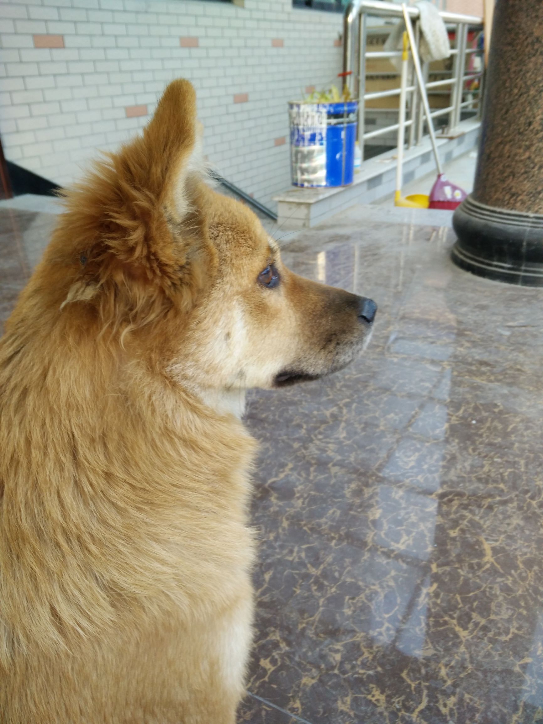 她叫肉肉（土话；扭扭）