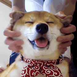 婚前适合做的美容,婚前怎么快速美白肌肤