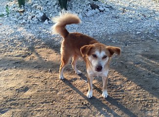 150831粉色沙滩黎牙实比马荣火山ATV香港
