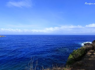 离天堂最近的地方张杰,离天堂最近的地方歌曲