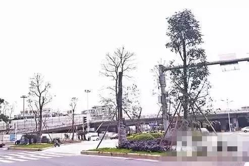 福州52件大事,福州最值得做的52件事