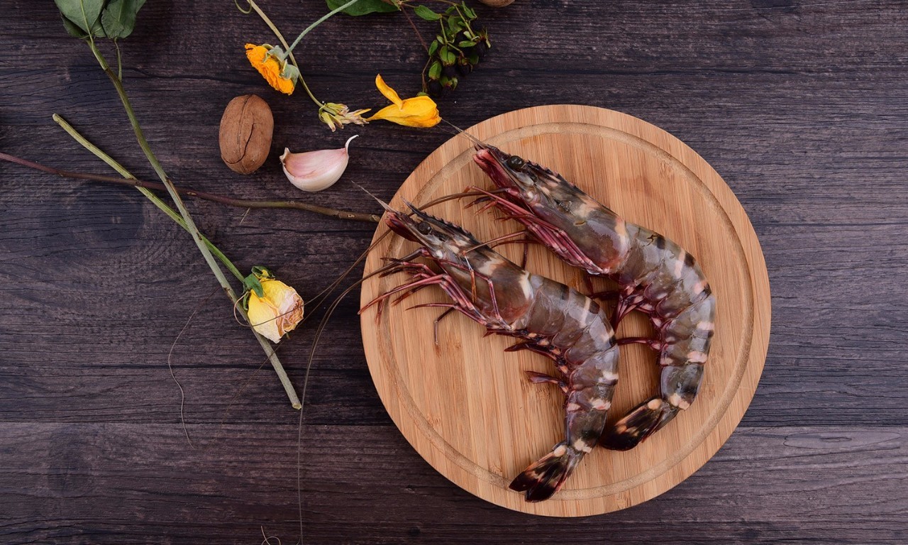 2016斩获金牌,2016年品质盛典获奖名单