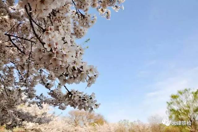 鍜岃皭鑷劧鎽勫奖浣滃搧,鍜岃皭鑷劧鎽勫奖浣滃搧娆h祻