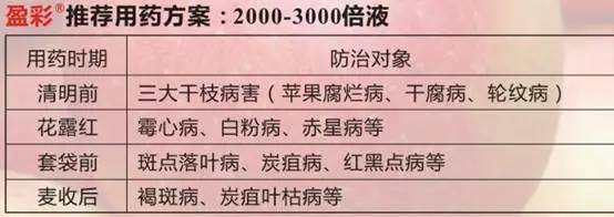今日优品品牌零食,今日优品个体店