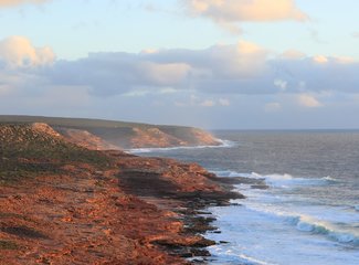 西澳珊瑚海岸3700公里自驾：卡尔巴里-猴子米娅-珊瑚湾-宁加洛珊瑚礁！