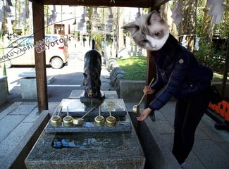 逛不尽的东瀛－二刷日本十五天