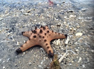 150831粉色沙滩黎牙实比马荣火山ATV香港