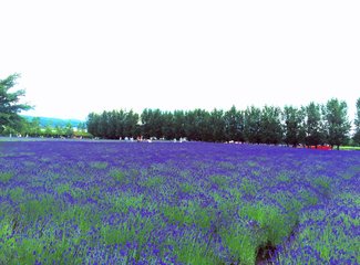 人在美途民族风旅拍,人在美途