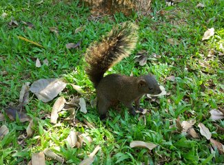 吃货的天堂推荐,吃货的天堂潮汕