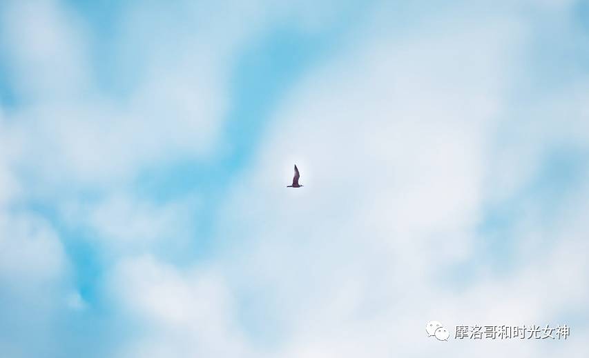 中国游客真的不爱逛博物馆吗?丨摩洛哥艺术时光漫步