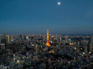 东京一日游城市美学,东京时尚街区