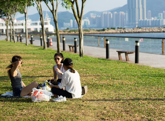 香港旅游攻略100条,探秘香港生活
