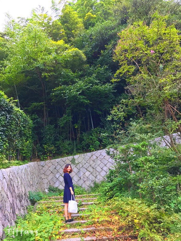 京都10月旅游攻略,京都枫叶季一日游