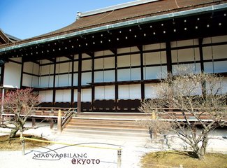 逛不尽的东瀛－二刷日本十五天