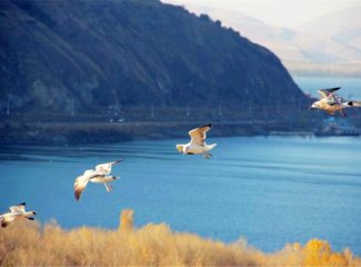 高加索亚美尼亚自驾游,高加索三国旅游游记