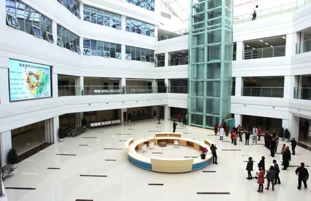 现场“阅卷打分”，龙泉驿交出圆满的民生答卷