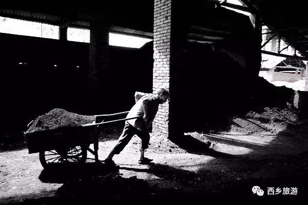 中国美劳动美主题摄影,劳动最美摄影大赛作品护士