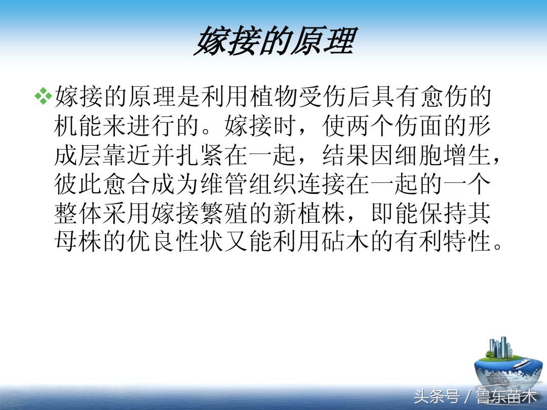 果树嫁接技术要点及注意方法!学会了你也可以成为嫁接高手!