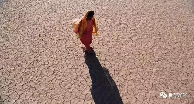 华莉丝迪里简介照片,华莉丝迪里