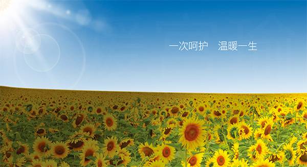 暖宫瑜伽教培,预防宫外孕的瑜伽