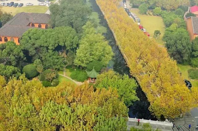 你的名字汉语版电影,你的名字原唱小学生