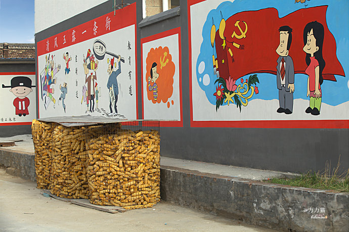 农村生活收纳箱,农村粮食收纳仓