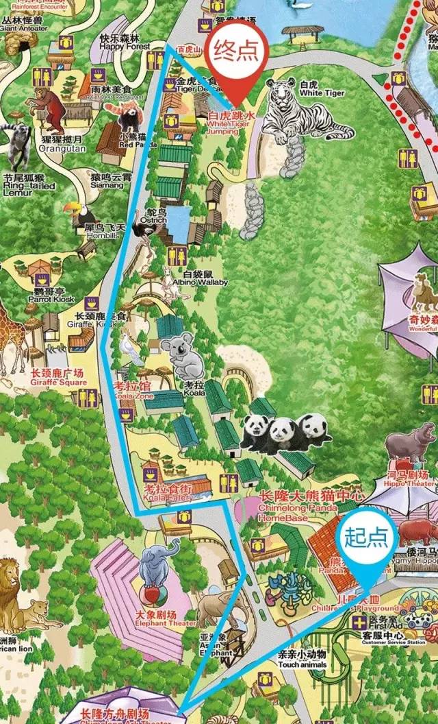 长隆攻略水上乐园和大马戏,广州长隆动物世界旅游攻略