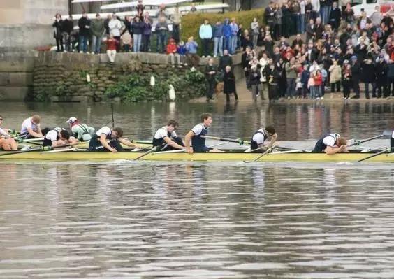 和大象拔河比赛,大象跟大象拔河