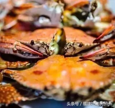 福建十大公认最好吃的菜,福建海鲜美食排行榜前十名
