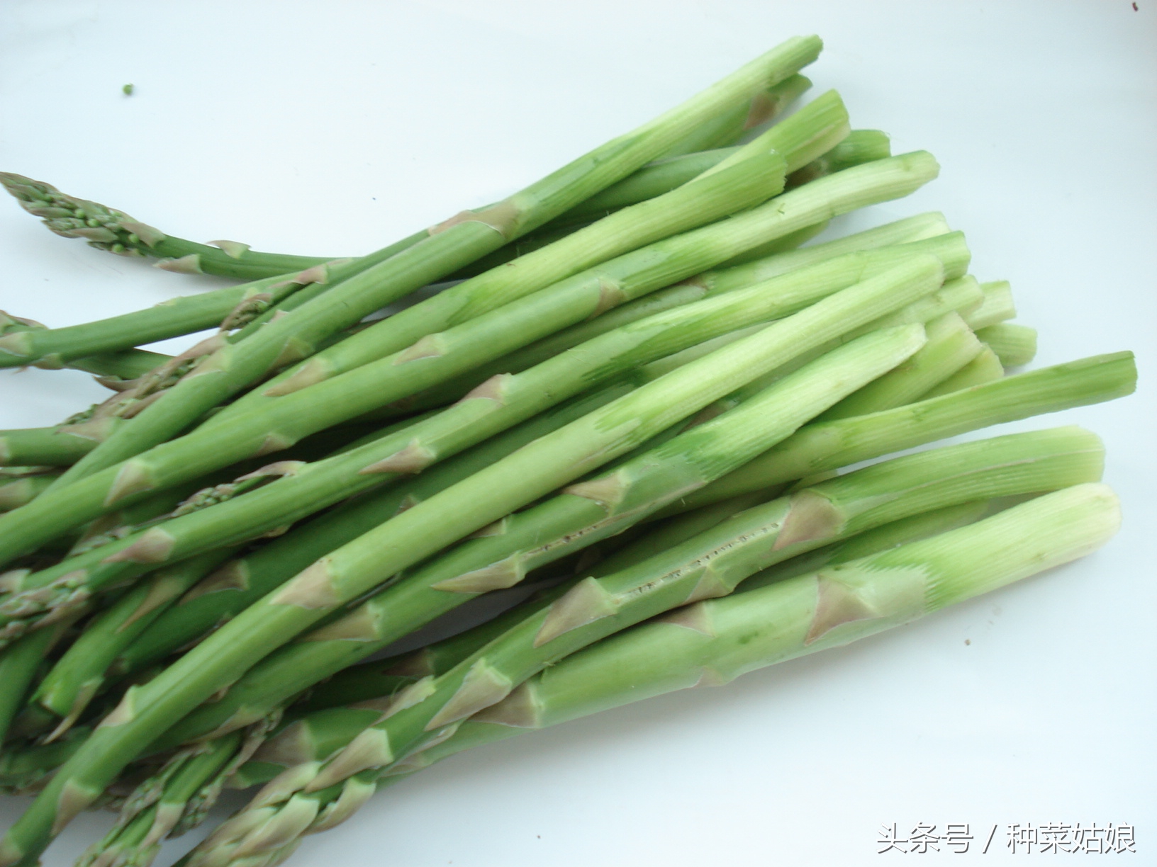 芦笋该如何正确处理,芦笋长得又细又长怎么办