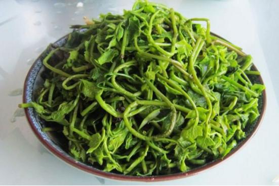 狗狗会引起死胎的征兆,狗狗导致人流产