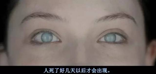 恐怖片反派,反派恐怖片