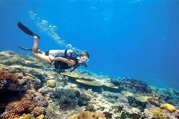 去澳大利亚可以去哪玩,去澳大利亚旅游必须去的地方