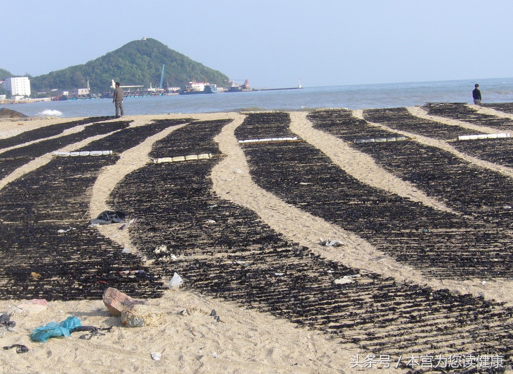 一直被我们忽略的长寿菜，您还不知道吧？