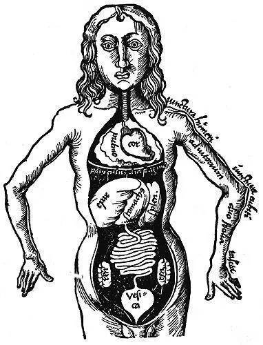 希腊化时代的表现和影响,希腊化时代概念提出的背景