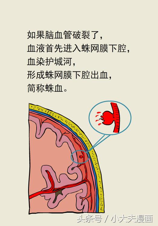 熊猫医生看病,熊猫医生图