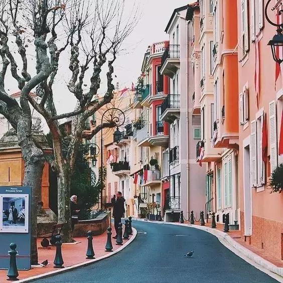 大象与大象拔河,与大象拔河比赛