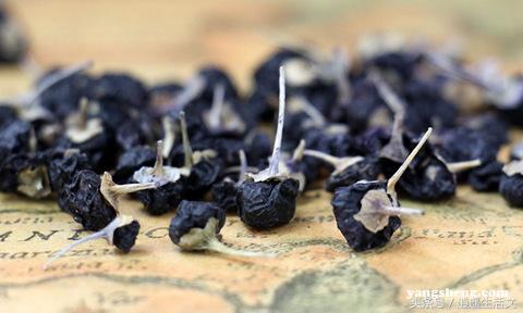 小黑枸杞和大黑枸杞有什么区别,有一种和黑枸杞非常像的东西