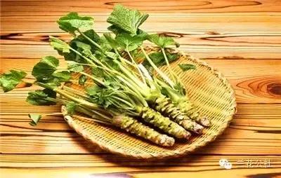 对女性好的五类食物,这四种食物女人一定要吃