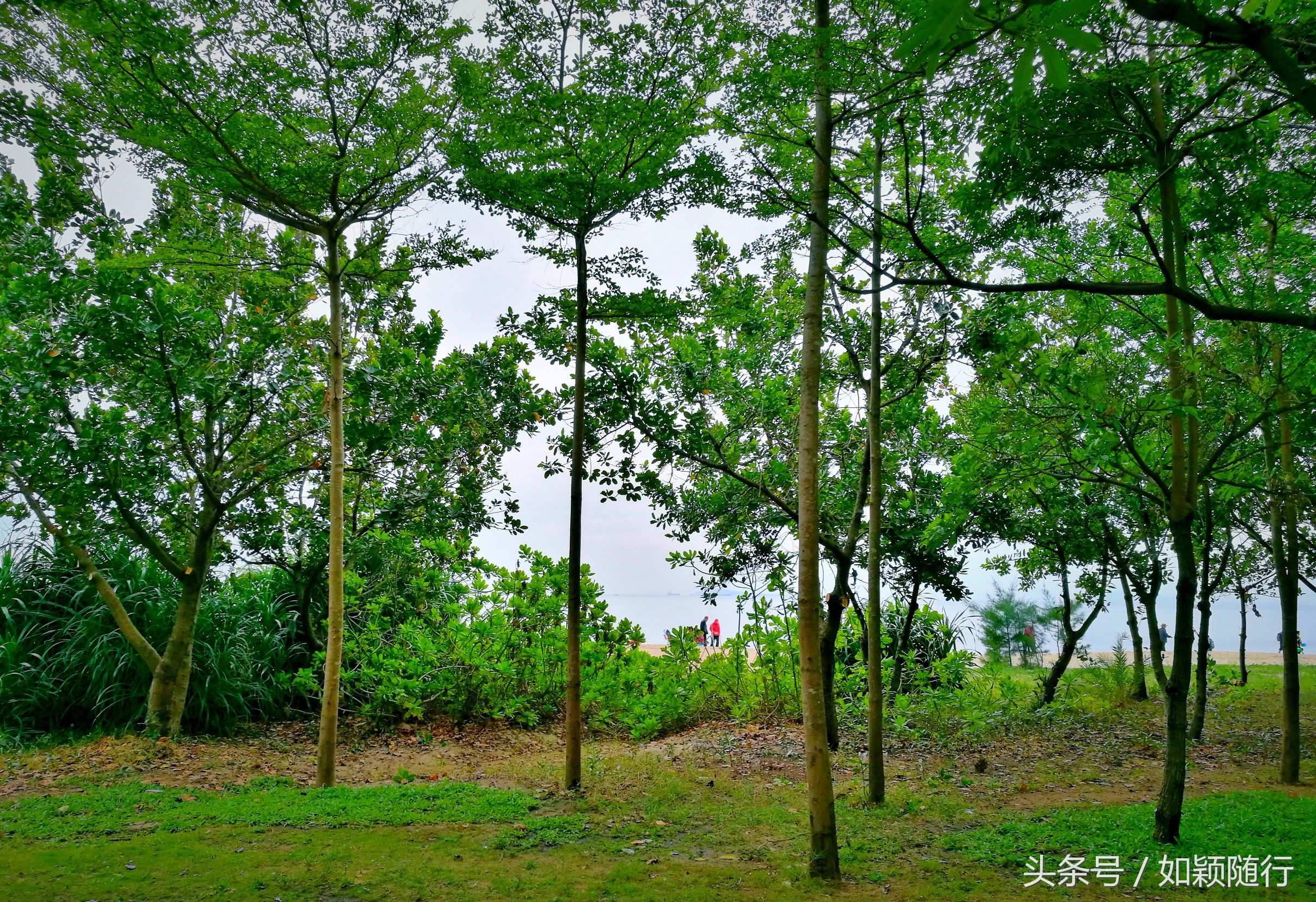 三亚湾之上一颗璀璨明珠,三亚太阳湾最美海湾