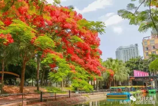 怎么证明你是个靖江人,如何证明自己是广西人