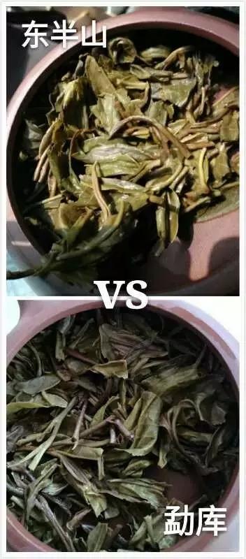 普洱茶的科学存放有五大基本条件,普洱茶存放记住四句话