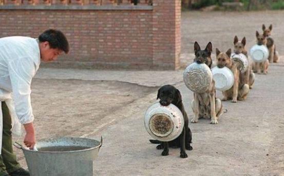 听说你想加盟？来干了这瓶老鼠药！