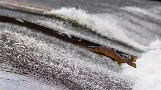 北漂为什么那么容易,北漂为什么这么容易