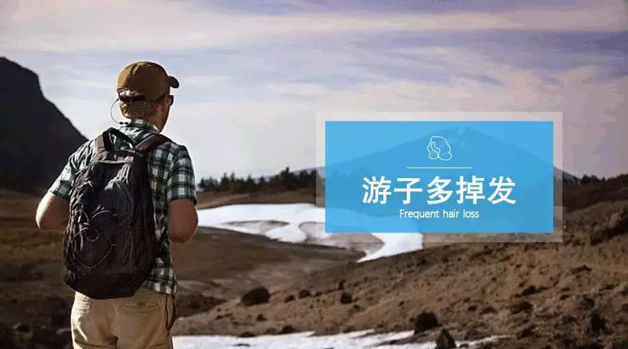 北漂为什么那么容易,北漂为什么这么容易