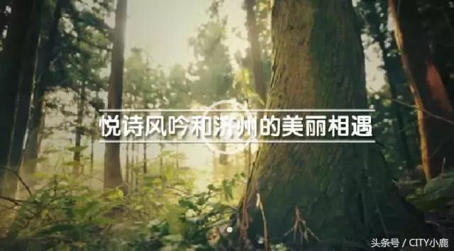 悦诗风吟唇膏韩国价格,韩国悦诗风吟面膜价格