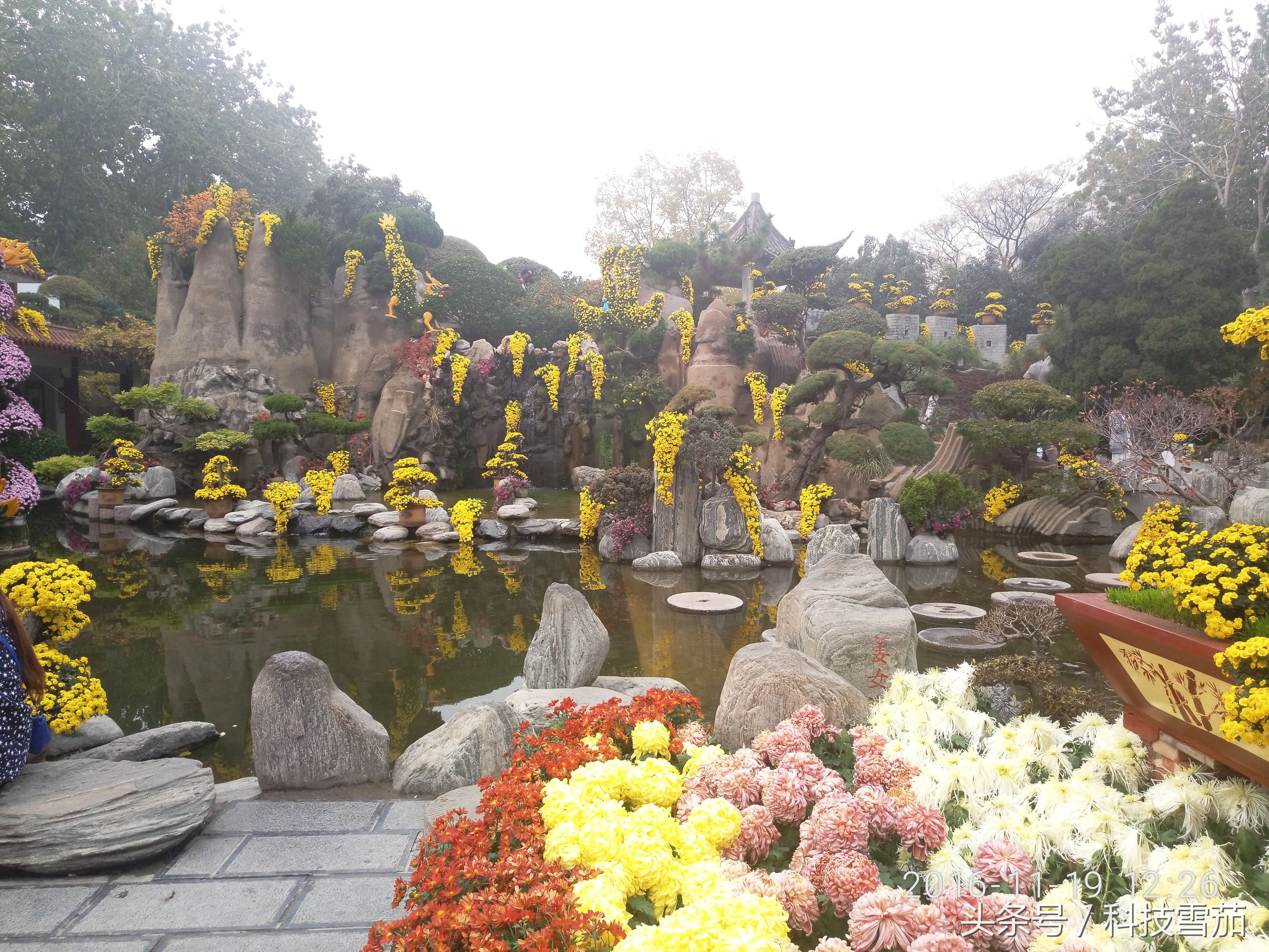 pro6颜值有多高,第五代pro6